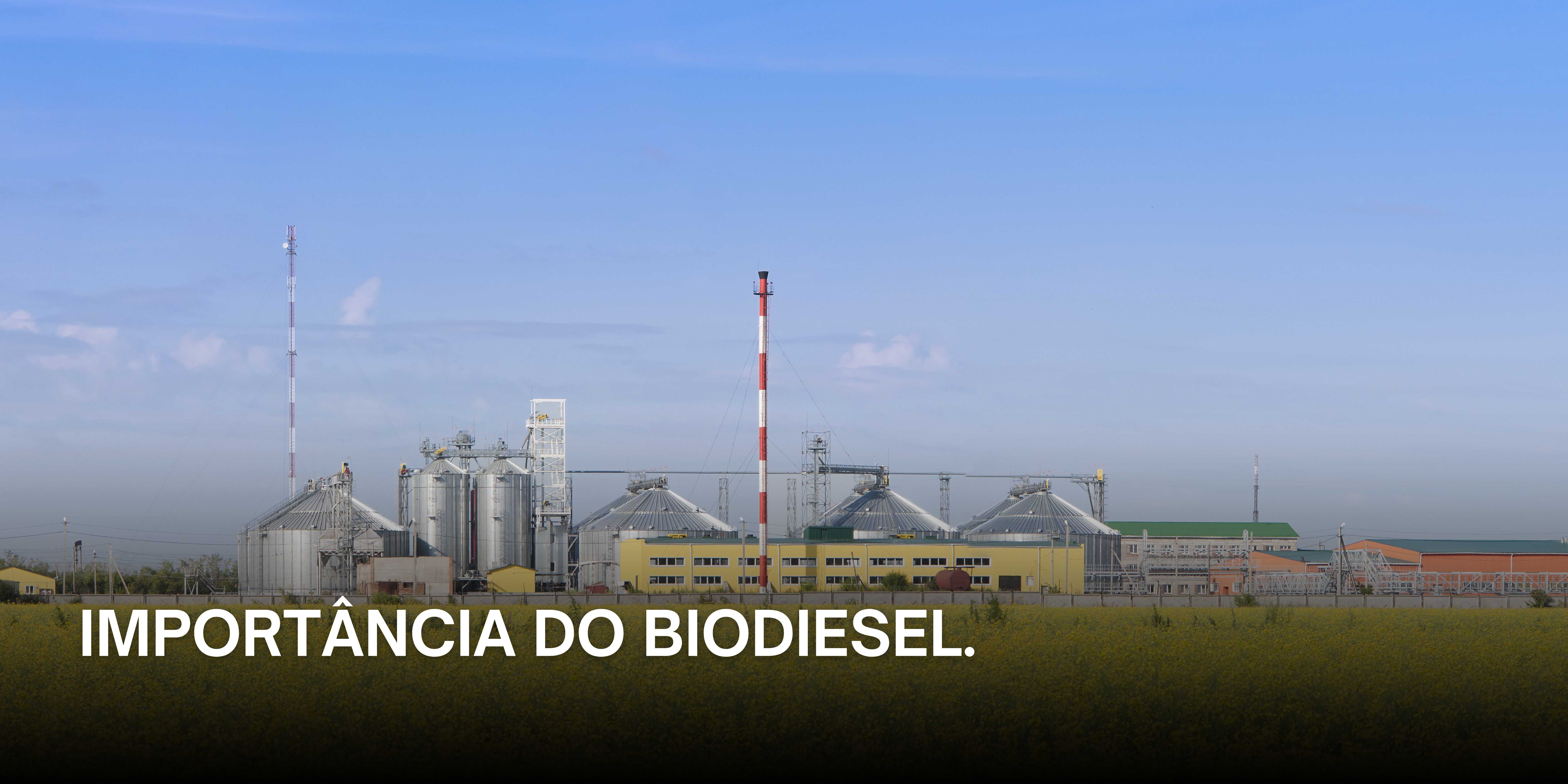 Importância do Biodiesel