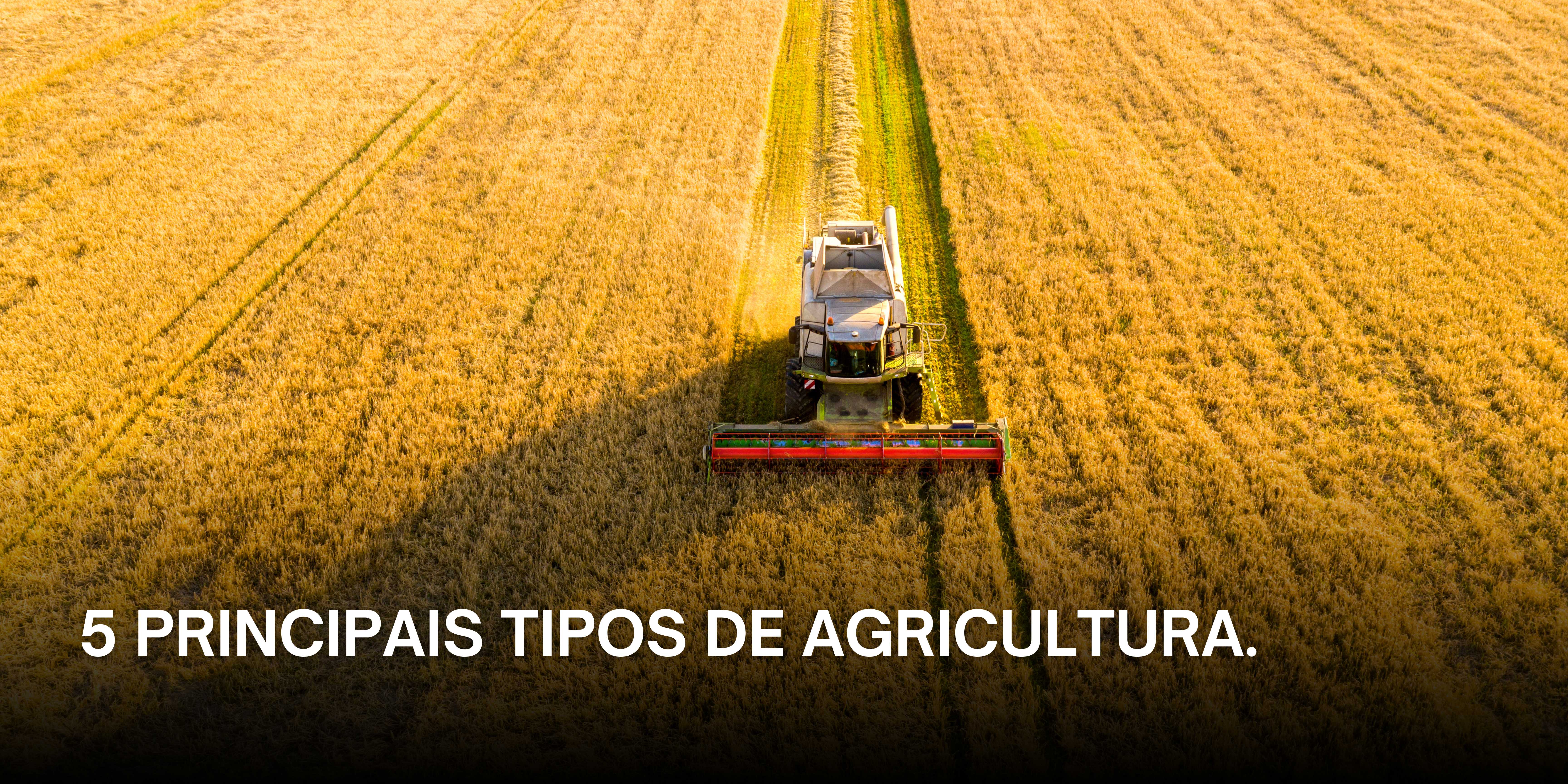 Conheça os 5 principais tipos de agricultura.